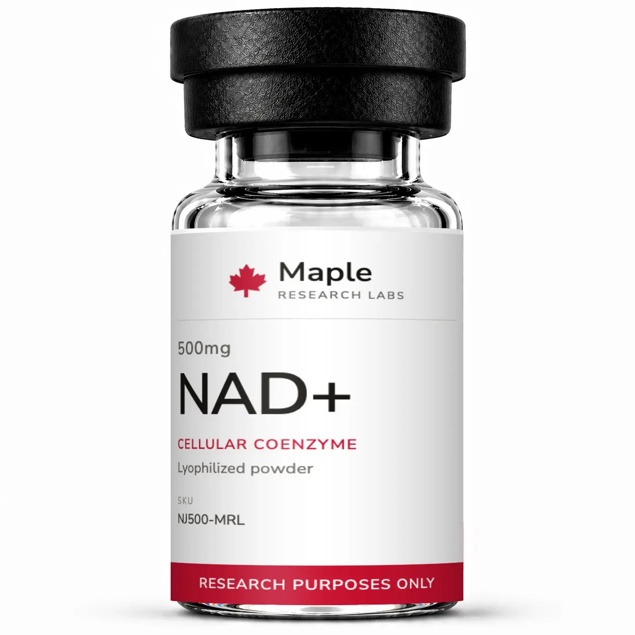 NAD+ 1 NAD+